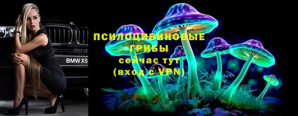 дживик Верея
