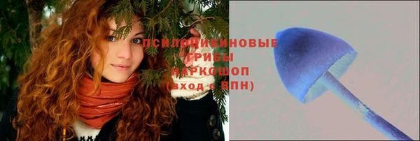 2c-b Волосово