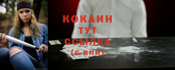 дживик Верея