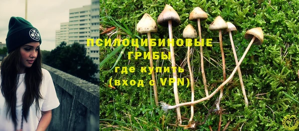 дживик Верея
